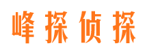 大柴旦市侦探公司